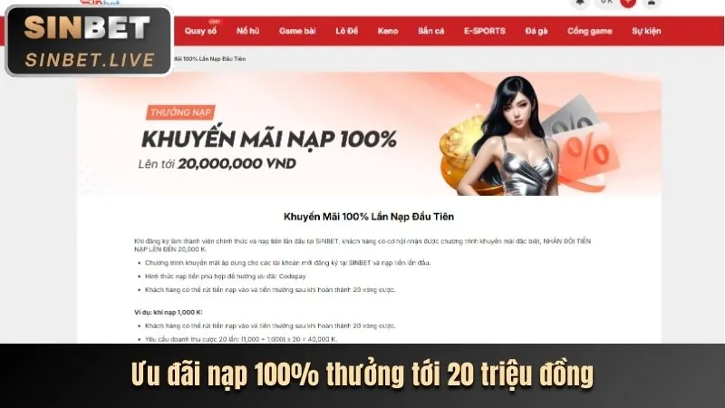 Hình ảnh hoàn trả cược thể thao